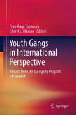 Youth Gangs in International Perspective