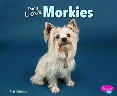 You'll Love Morkies - Edison, Erin