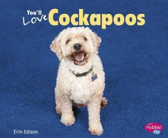 You'll Love Cockapoos - Edison, Erin