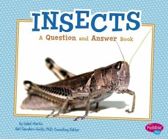 Insects - Martin, Isabel