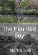 The Haunted Boy - Bild 1