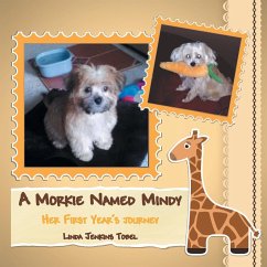 A Morkie Named Mindy: Her First Year's Journey