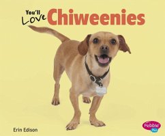 You'll Love Chiweenies - Edison, Erin