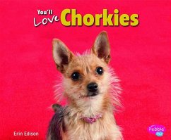 You'll Love Chorkies - Edison, Erin