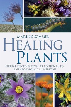 Healing Plants: Herbal Remedies from Traditional to Anthroposophical Medicine - Sommer, Markus