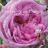 Brighten Your Diamond - Bild 1