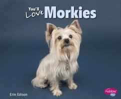 You'll Love Morkies - Edison, Erin