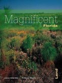 Florida's Magnificent Land