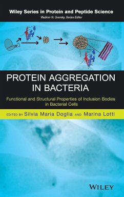 Protein Aggregation in Bacteria