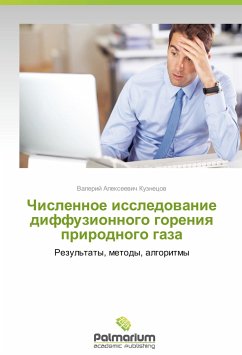 Chislennoe issledovanie diffuzionnogo goreniya prirodnogo gaza - Kuznetsov, Valeriy Alekseevich