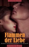 Flammen der Liebe (eBook, ePUB)