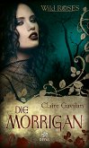 Die Morrigan (eBook, ePUB)