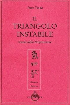 Cover Il triangolo instabile