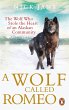 A Wolf Called Romeo - Bild 1