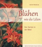 Blühen wie die Lilien