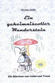 Ein geheimnisvoller Wunderstein (eBook, ePUB)