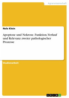 Apoptose und Nekrose. Funktion, Verlauf und Relevanz zweier pathologischer Prozesse (eBook, PDF) - Klein, Nele