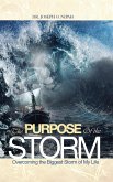 The Purpose of the Storm