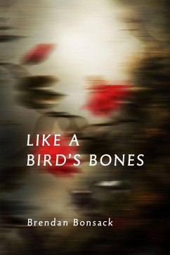 Like a Bird's Bones - Bonsack, Brendan