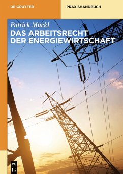 Das Arbeitsrecht der Energiewirtschaft - Mückl, Patrick