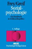 Sozialpsychologie (eBook, PDF)