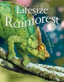Lifesize Rainforest Lifesize Rainforest