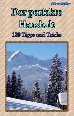 Der perfekte Haushalt (eBook, ePUB) - Steffen, Alina