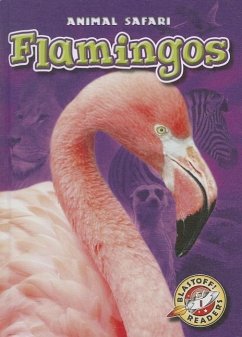 Flamingos - Borgert-Spaniol, Megan