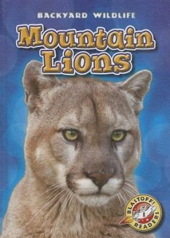 Mountain Lions - Schuetz, Kristin