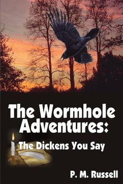 The Wormhole Adventures The Wormhole Adventures