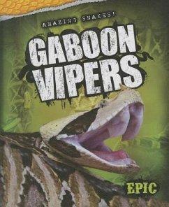 Gaboon Vipers - Bowman, Chris