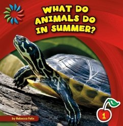 What Do Animals Do in Summer? - Felix, Rebecca