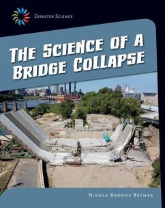 The Science of a Bridge Collapse - Bethea, Nikole Brooks