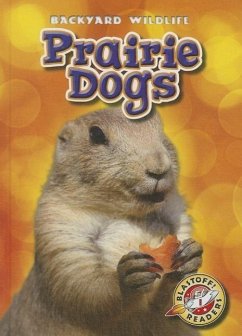 Prairie Dogs Cover Prairie Dogs