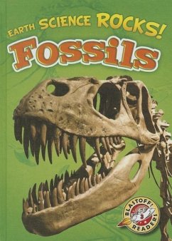 Fossils - Bowman, Chris