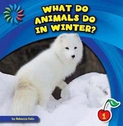 What Do Animals Do in Winter? - Felix, Rebecca