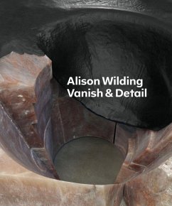 Alison Wilding: Vanish & Detail - Curtis, Penelope; Moszynska, Anna; Julia, Carmen