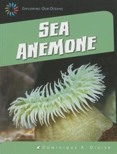 Sea Anemone - Didier, Dominique A