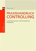 Praxishandbuch Controlling (eBook, ePUB)