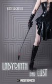 Labyrinth der Lust (eBook, ePUB)