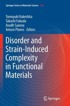 Disorder and Strain-Induced Complexity in Functional Materials