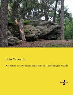 Die Fauna des Neocomsandsteins im Teutoburger Walde - Weerth, Otto