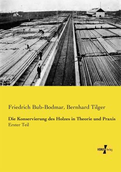 Die Konservierung des Holzes in Theorie und Praxis - Bub-Bodmar, Friedrich;Tilger, Bernhard