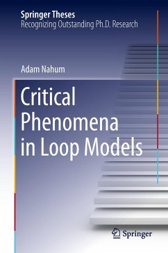 Critical Phenomena in Loop Models - Nahum, Adam
