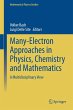 Many-Electron Approaches in Physics,... - Bild 1