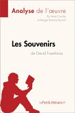 Les Souvenirs de David Foenkinos (Analyse de l'oeuvre) (eBook, ePUB)