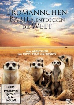 Erdmännchen-Babies entdecken die Welt