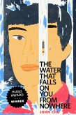 The Water That Falls on You from Nowhere (eBook, ePUB)