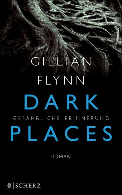 Dark Places - Gefährliche Erinnerung (eBook, ePUB) - Flynn, Gillian