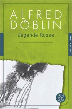 Jagende Rosse (eBook, ePUB) - Döblin, Alfred